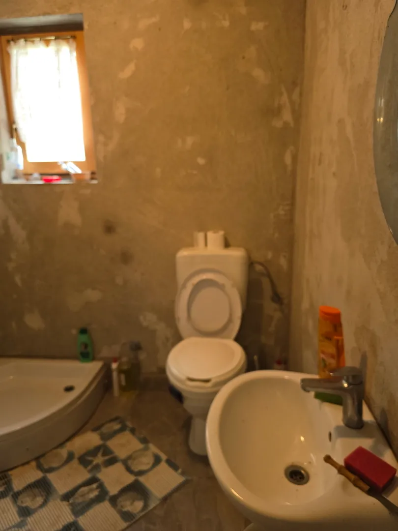 krnjak, useljiva obiteljska kuća s velikim zemljištem! - slika 7