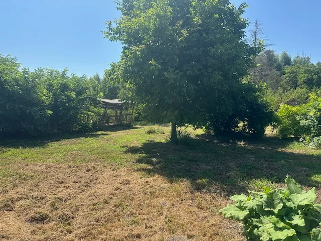 prodaja, kuća za rušenje s okućnicom površine 3110m2, prilika! - slika 5