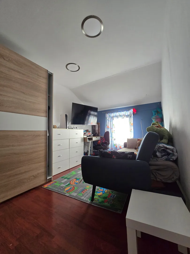 jarun, kuća, dva stana, poslovni prostor, 311 m2 - slika 3