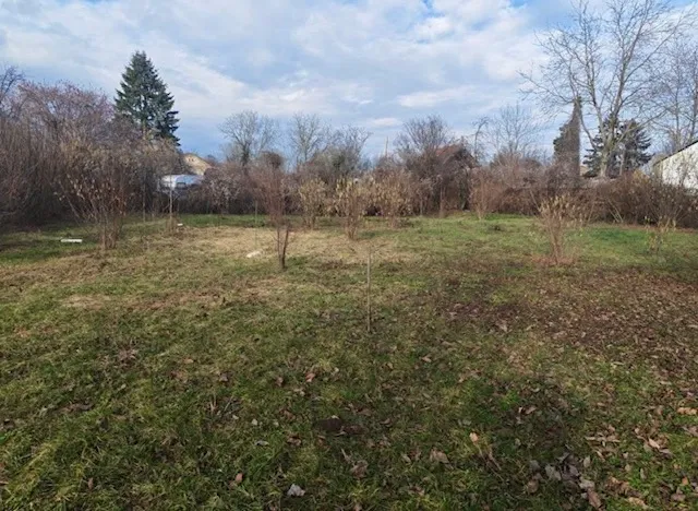 vikendica na prodaju-grabovac (općina erdut), 500 m do dunava - slika 3