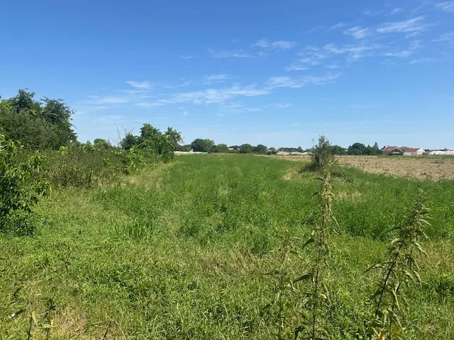 prodaja, kuća za rušenje s okućnicom površine 3110m2, prilika! - slika 6