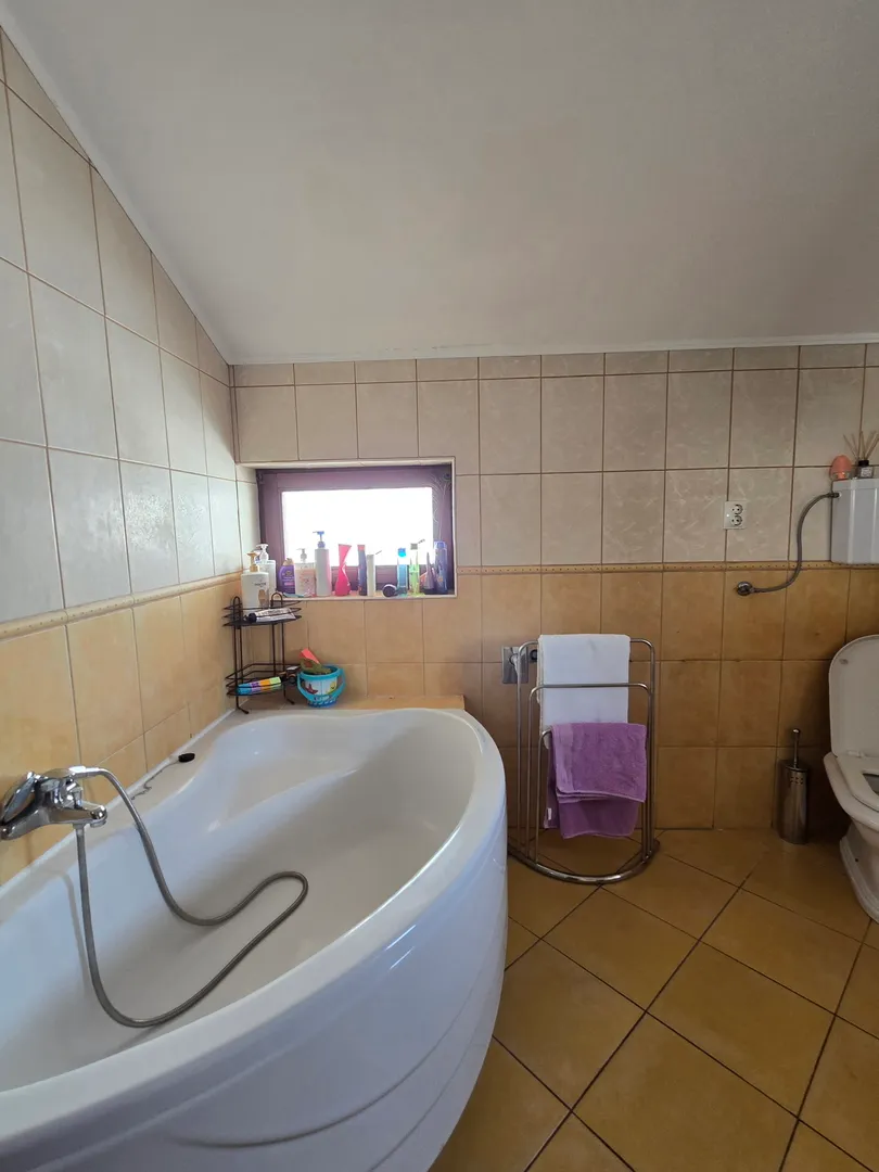 jarun, kuća, dva stana, poslovni prostor, 311 m2 - slika 6