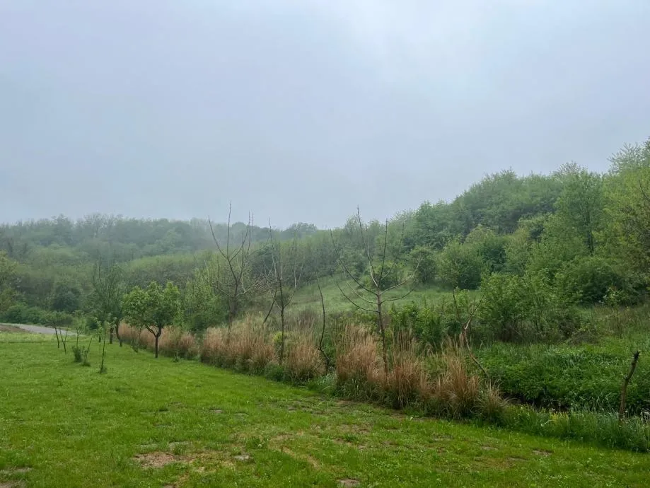 građevinsko zemljište, sveti đurađ, virovitica, 1126 m2 - slika 6