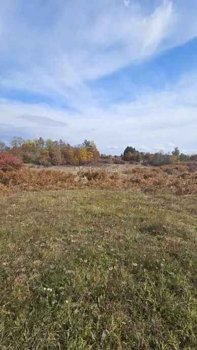 mješovito zemljište gospić 16312 m2 - slika 6