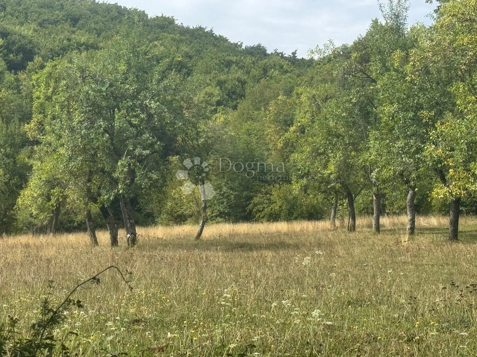 zemljište u perušiću – 2 ha u jednom komadu - slika 7