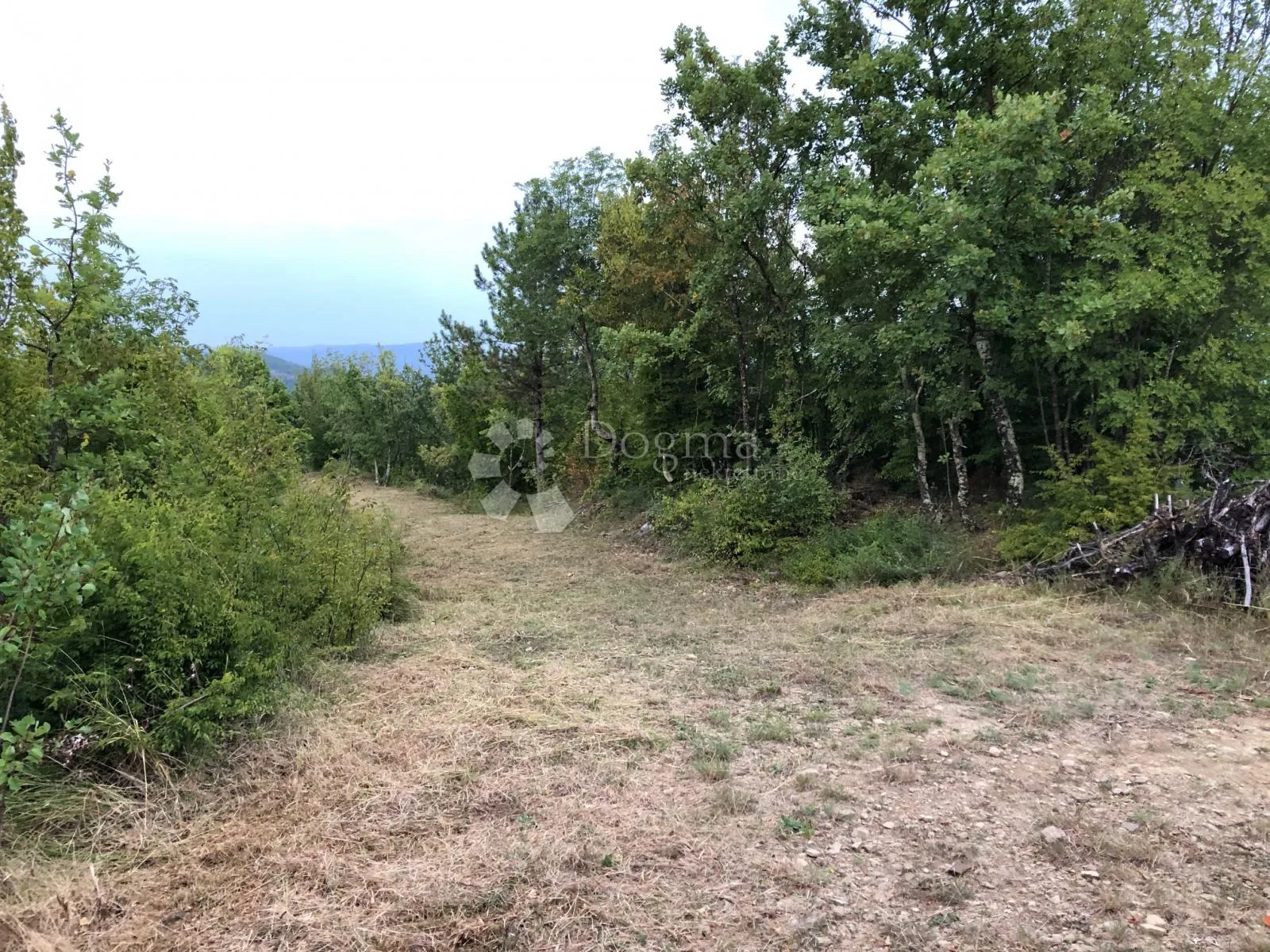 motovun - prekrasno imanje s panoramskim pogledom - slika 20
