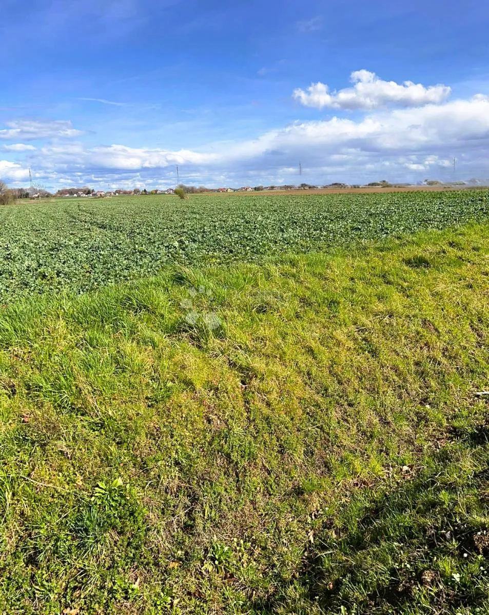 velika građevinska parcela na južnoj obilaznici varaždina – 14.261 m²! - slika 3