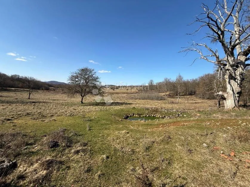 građevinsko poljoprivredne parcele perušić 80000m2 - slika 12