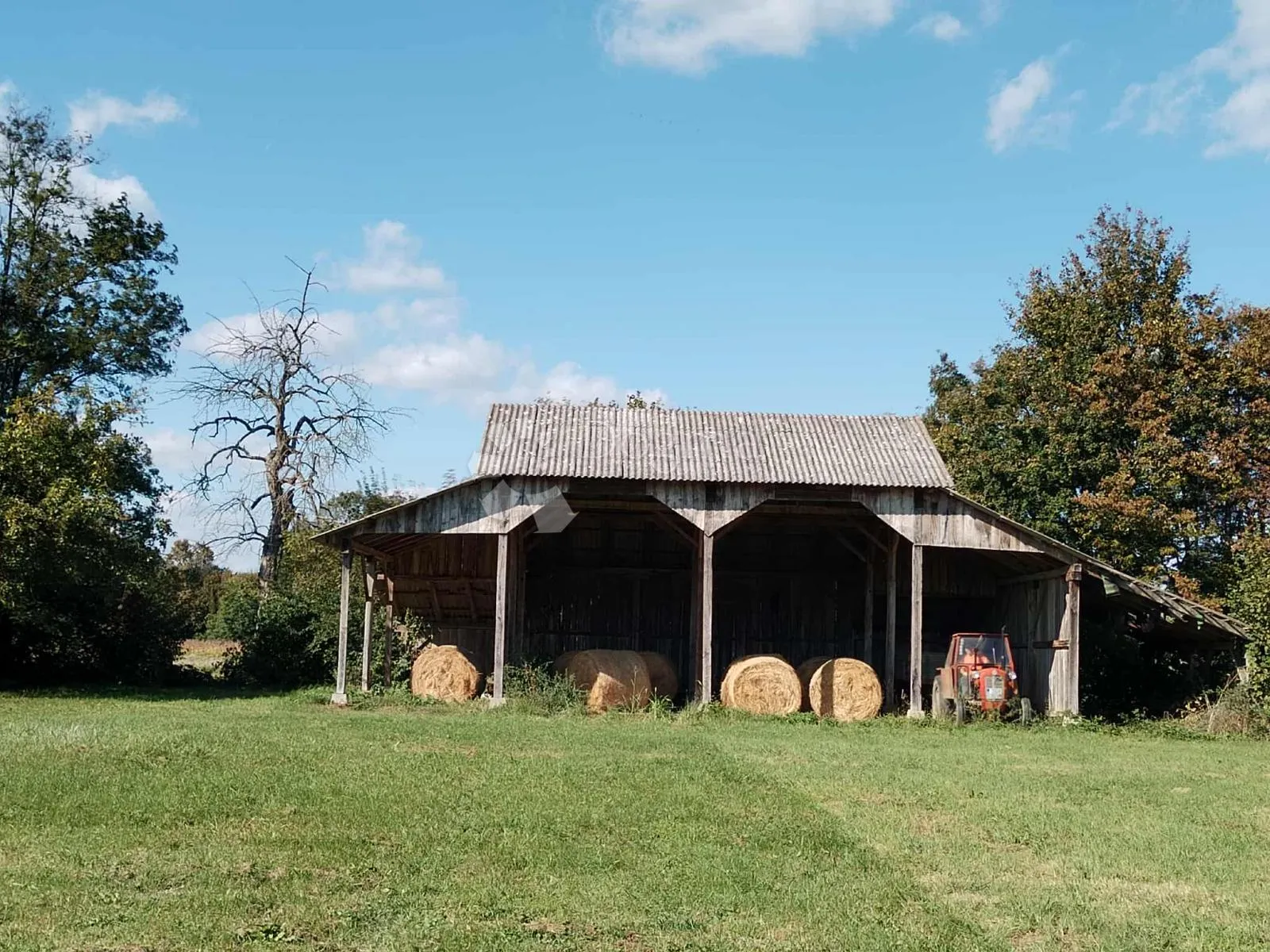 veliko imanje 39.323 m² – mir, priroda i potencijal! - slika 2