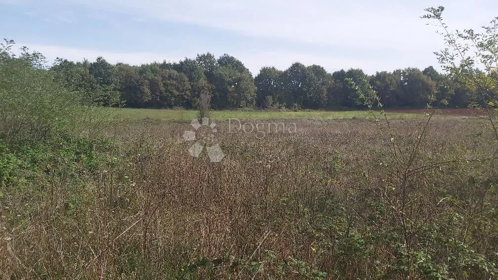 poljoprivredno zemljište, livada - slika 2