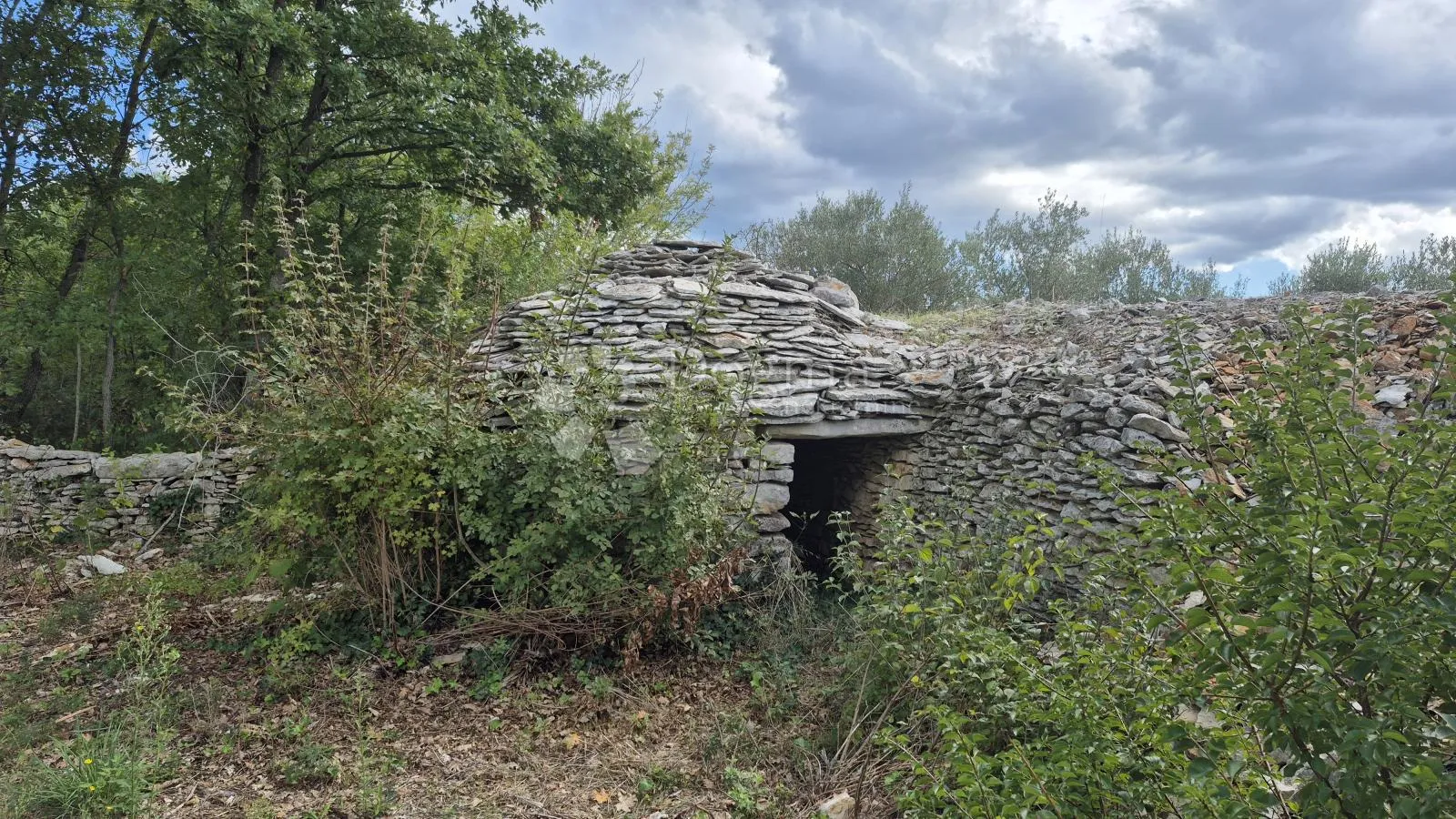 poljoprivredno zemljište sa kažunom površine 3550 m2 - slika 5