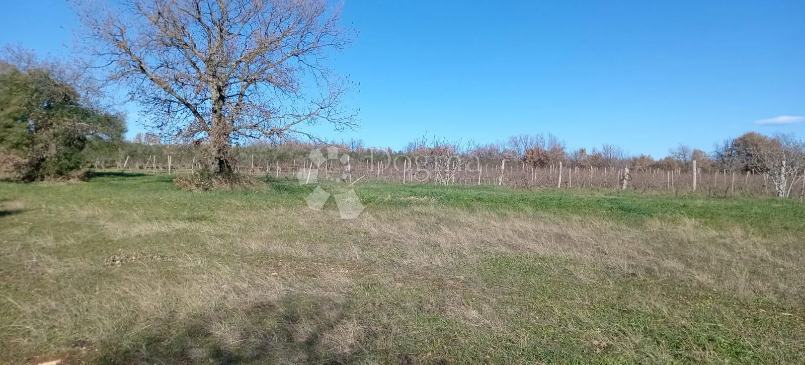 velika poljoprivredna parcela uz glavnu cestu - slika 5