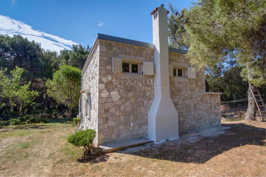 mali lošinj - kuća - oaza mira okružena zelenim pojasom-300 m od mora - slika 3