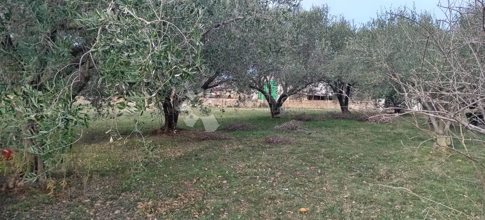kuca sa ogromnim potencijalom - slika 15