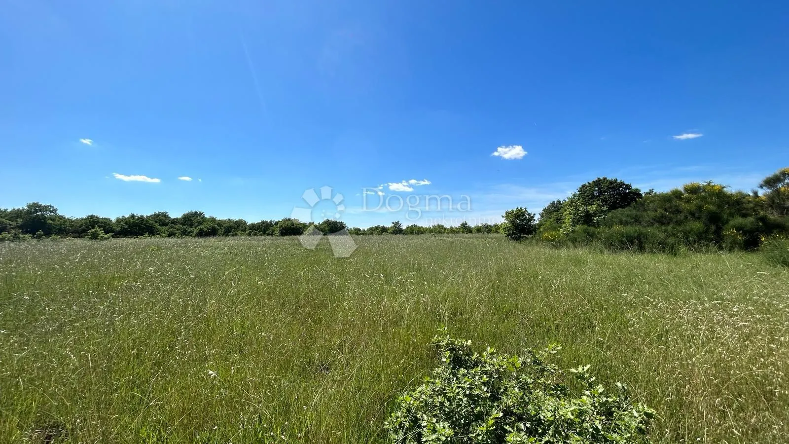 šuma u marčani: 17544 m² s pristupnim putem - slika 4