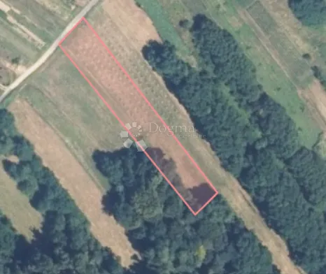 na prodaju zemljište 8.631 m² s voćnjakom – mir i priroda ! - slika 5