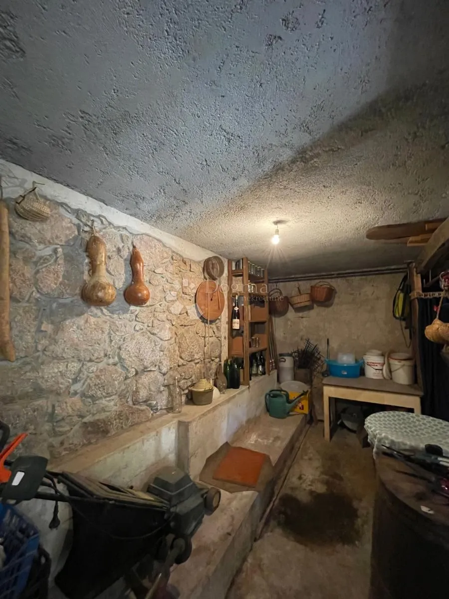 komadić raja koji traži pažnju - slika 62