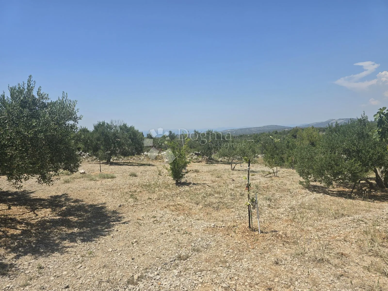 primošten, vadalj - građevinsko zemljište 1256 m² - slika 3