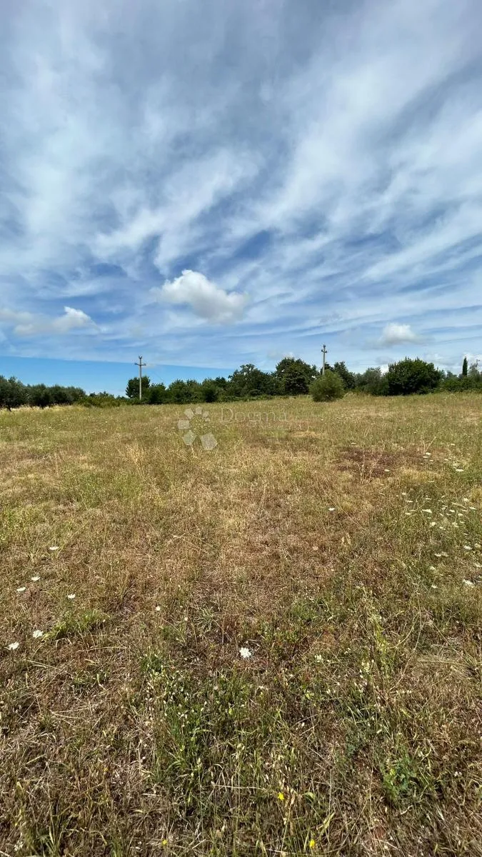 prilika građevinsko 1049m2 - sv.lovreč - slika 5