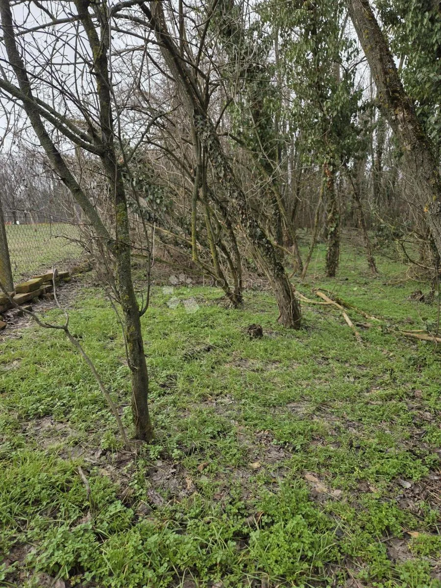 hitno! zemljište kraljevo brdo, dalj planina - slika 2