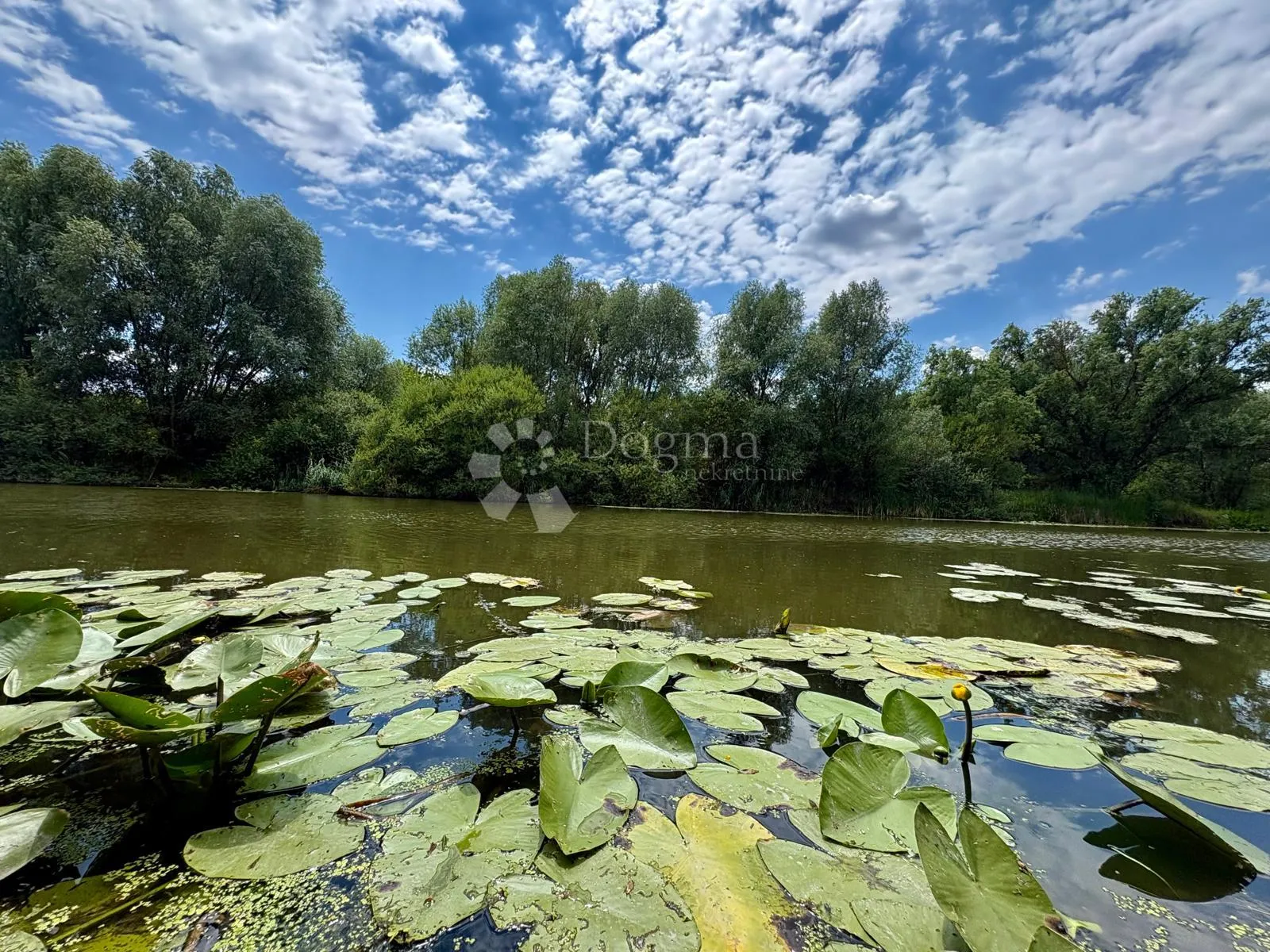 atraktivno imanje s ribnjakom i turističkim potencijalom - slika 21