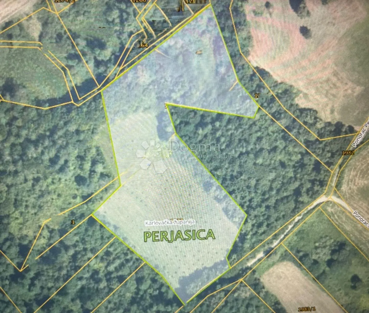 Polje lješnjaka na 10 995m2 - Perjasica, Barilović