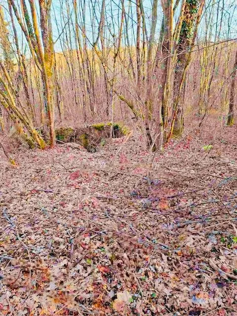 Ogulin - poljoprivredno zemljište s potencijalom - Popovo Selo, Ogulin