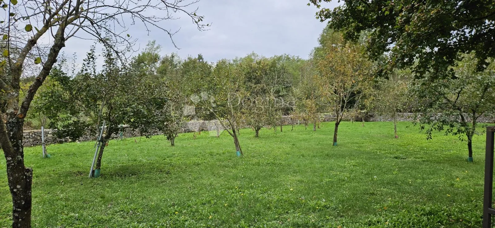 ekskluzivno kuća na osami, okružena šumom - slika 48