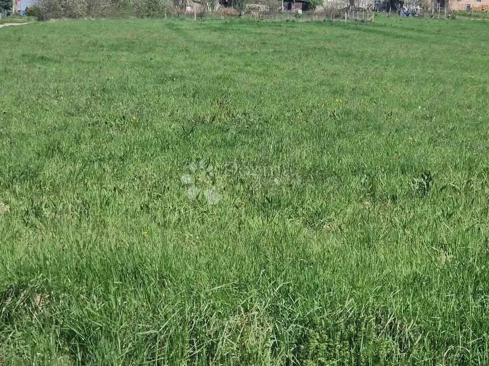 odličan prostrani teren - slika 2