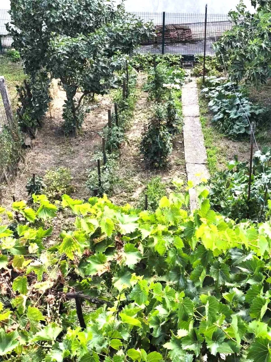 obiteljska katnica s dvorištem u donjem gradu - slika 21