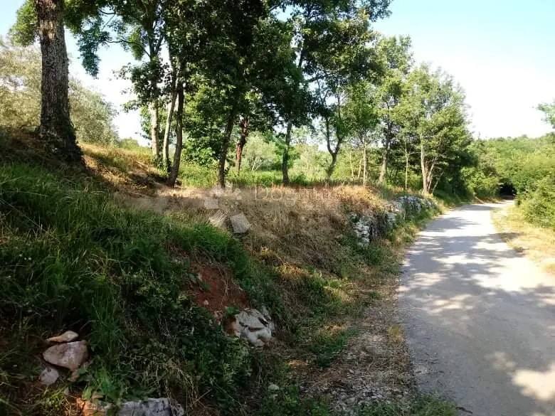 Građevinsko i poljoprivredno zemljište!Odlična prilika u Sovinjaku! - Sovinjak, Buzet