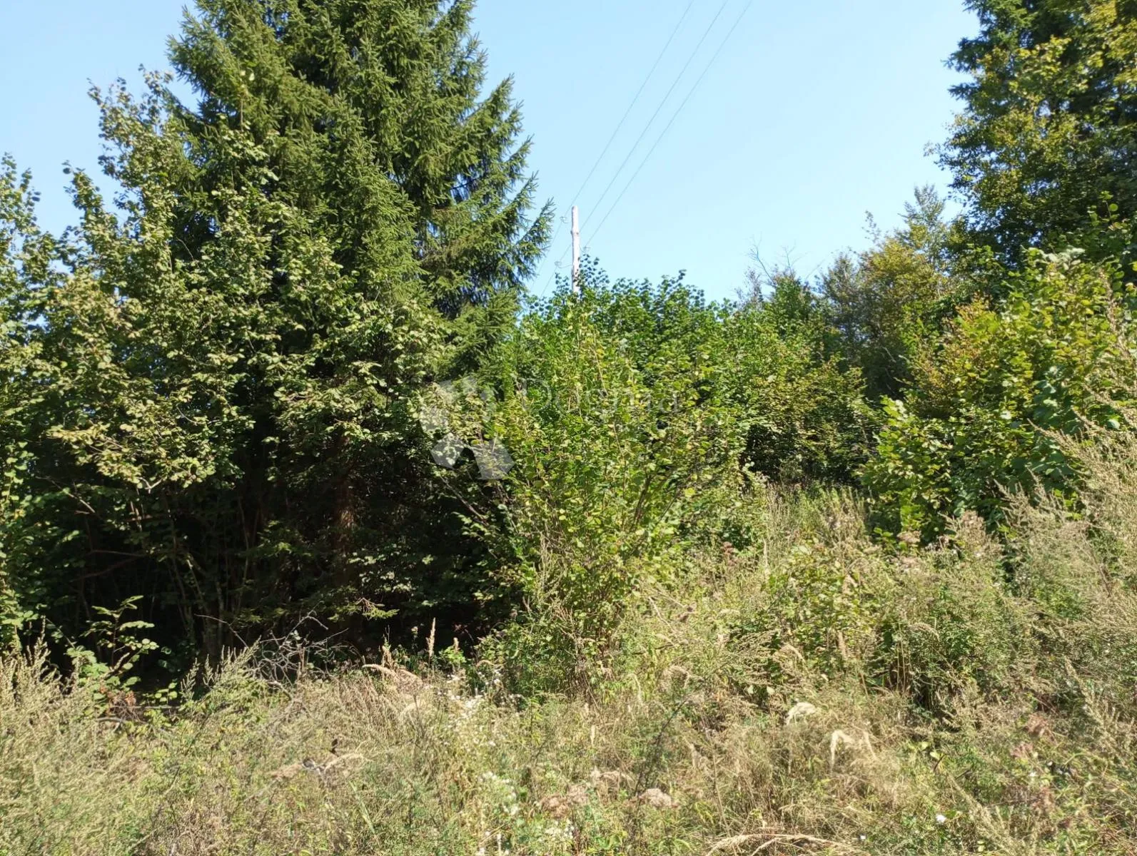 rijetka prilika gorski kotar, delnice 10.500 m2 zemljište za 9 a-frame vikendica - slika 16