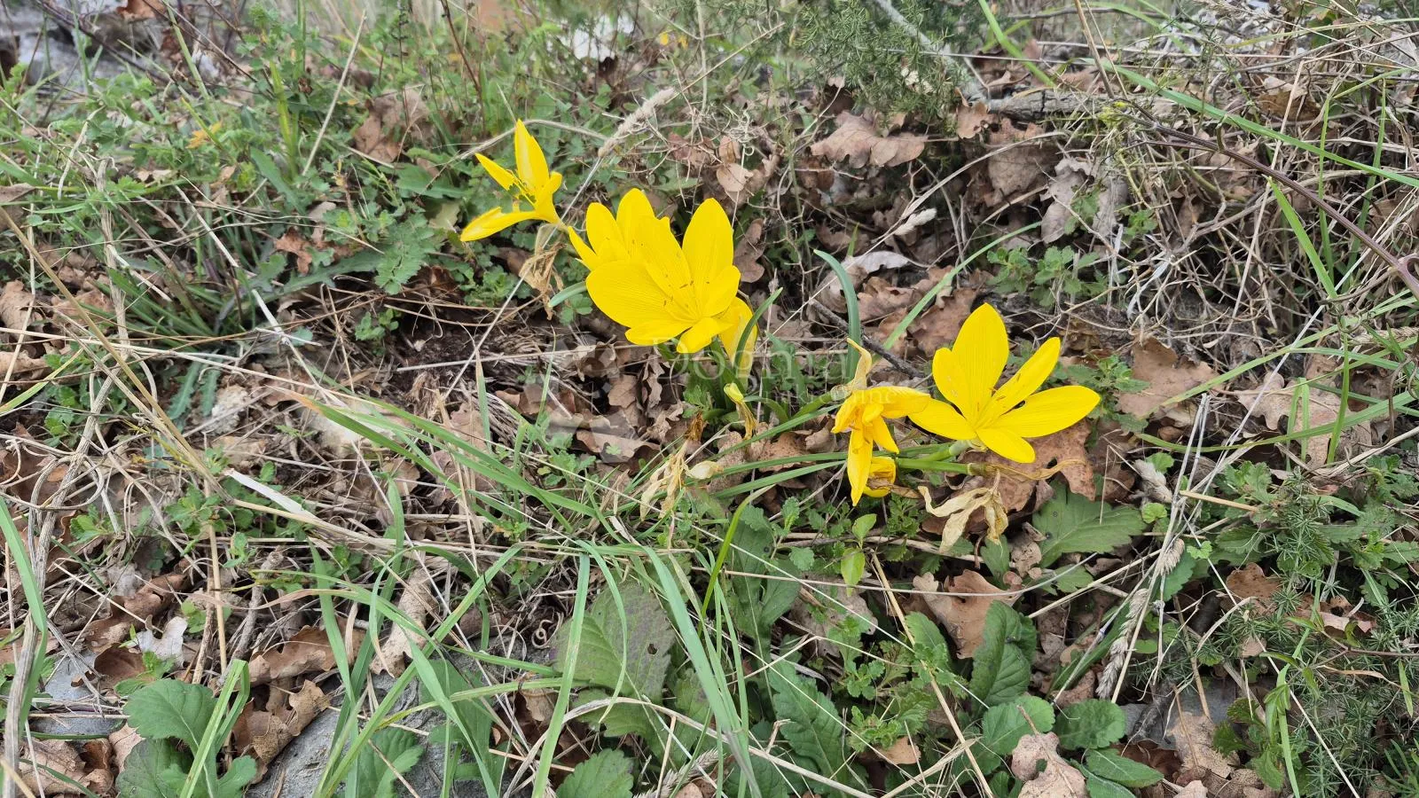 građevinsko zemljište površine2878 m2 u raklju - slika 15