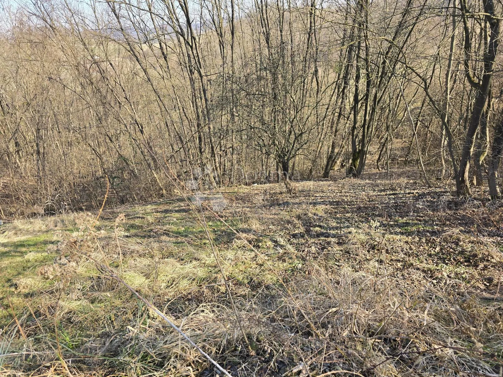 građevinsko zemljište kraj gornji, pologi! - slika 4
