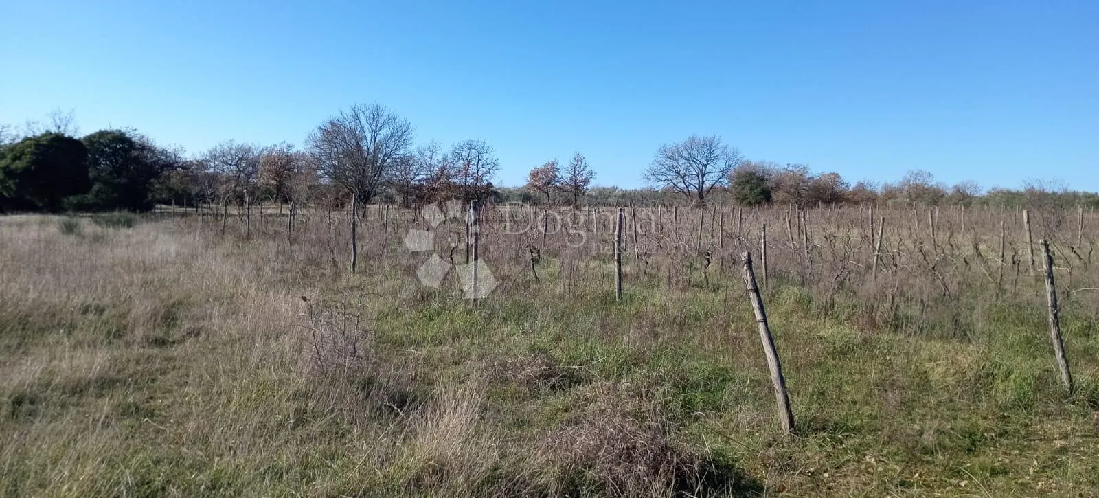 velika poljoprivredna parcela uz glavnu cestu - slika 2