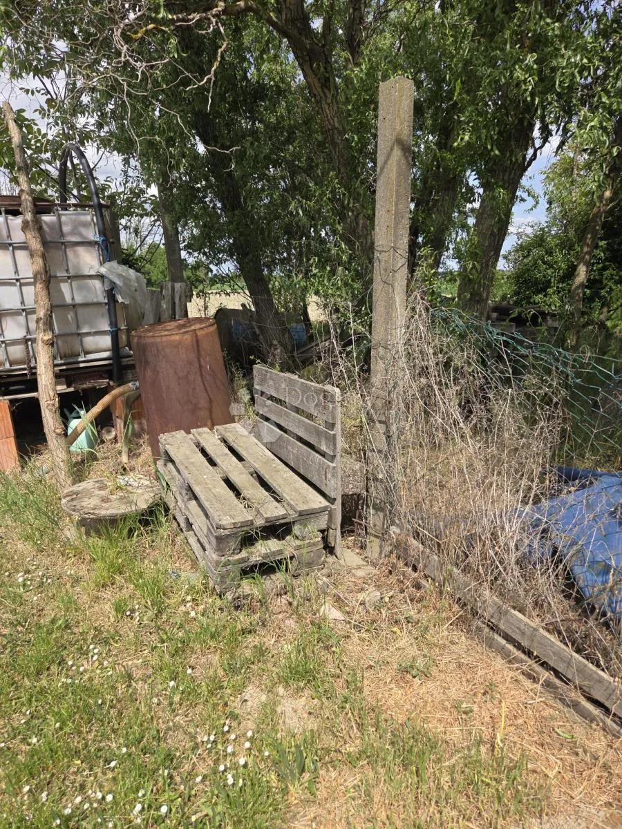 održavan voćnjak s bunarom – 6.494 m² - slika 9