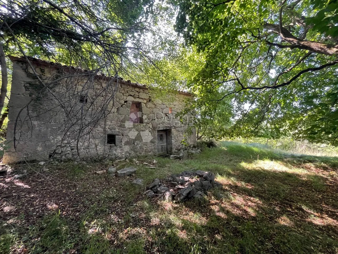 starina sa potencijalom za odličan prihod - slika 2
