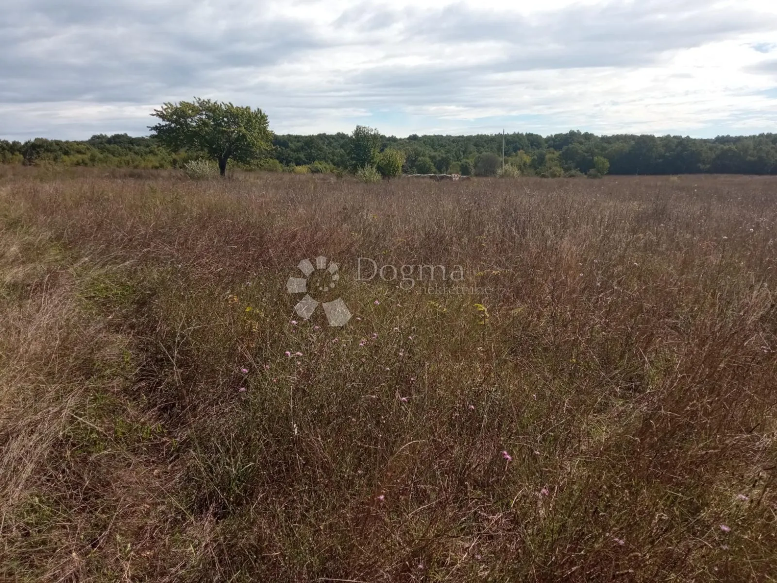 2,5 ha zemljišta na odličnoj lokaciji - slika 9