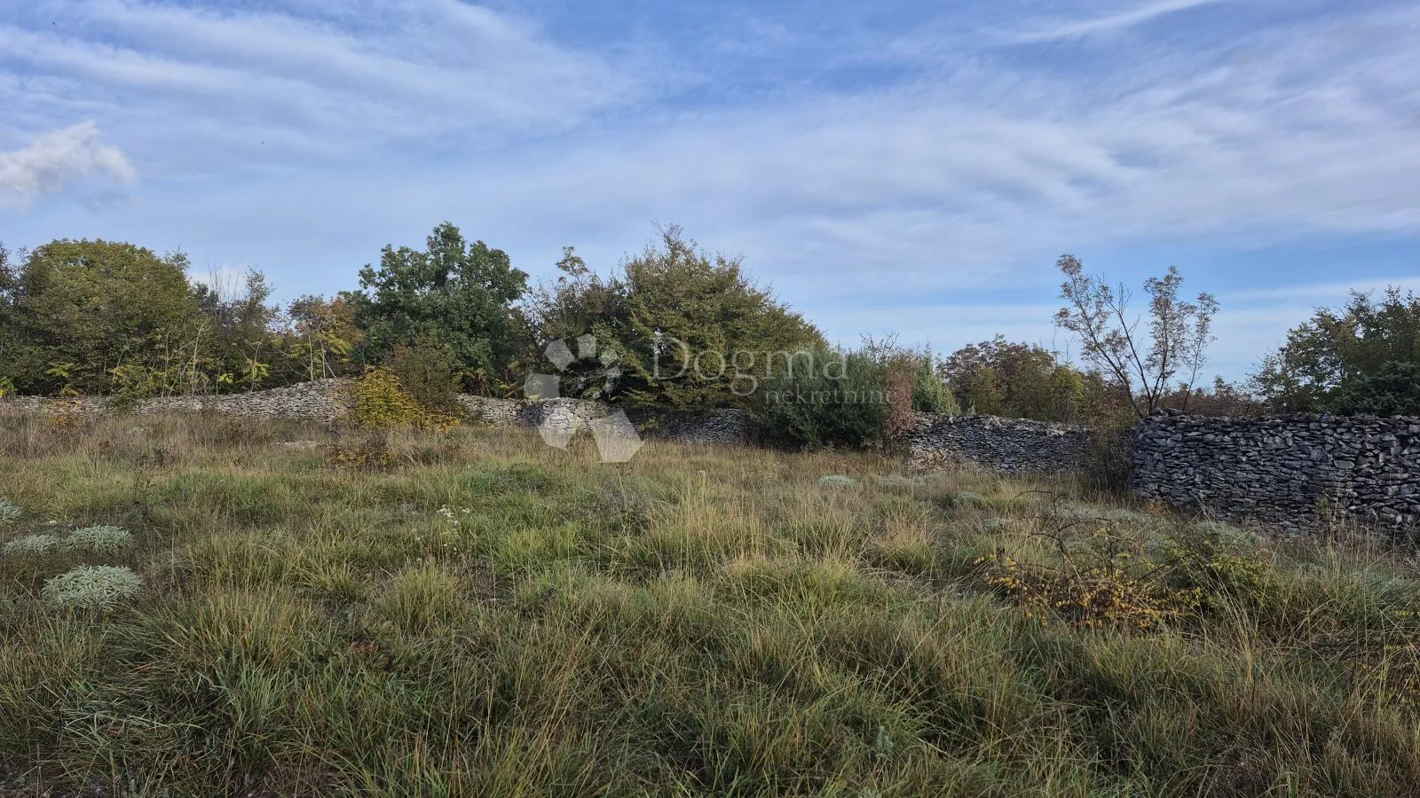 pašnjak ograđen suhozidom, površine 1705 m2 - slika 10