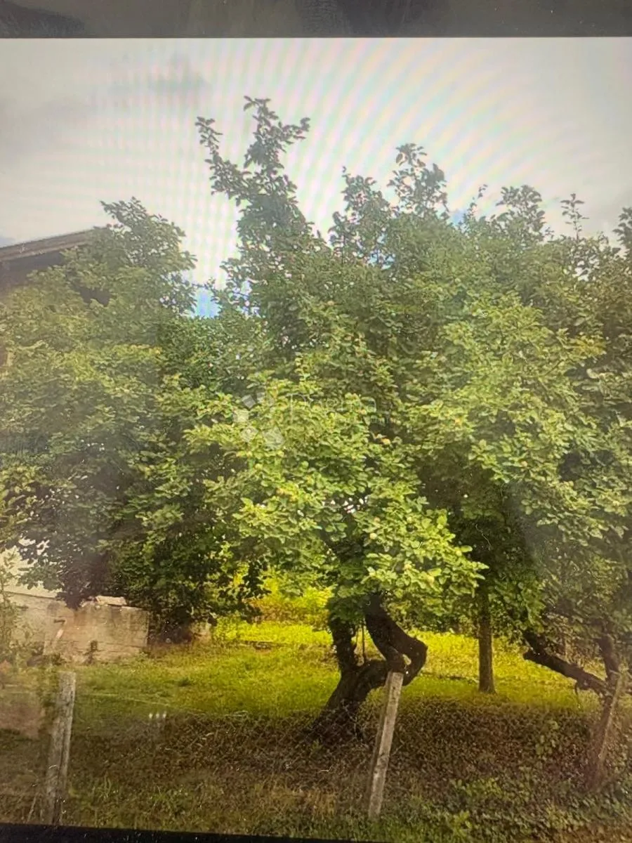 odzakovci, požega samostojeća kuća 170m2 - slika 5