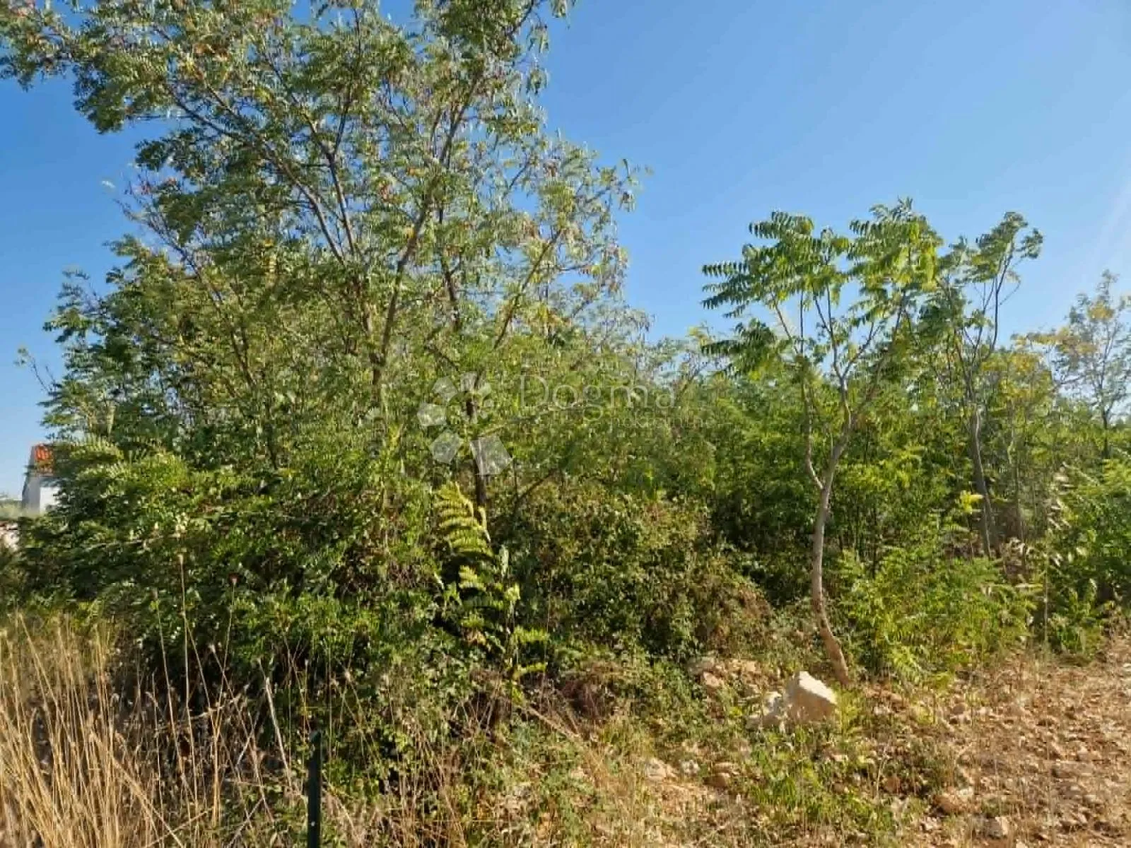 briševo - građevinsko zemljište 1175 m2 - slika 2