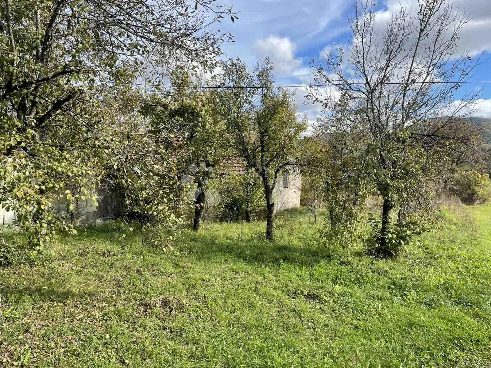 plaški,starina i veliko poljoprivredno zemljište - slika 4