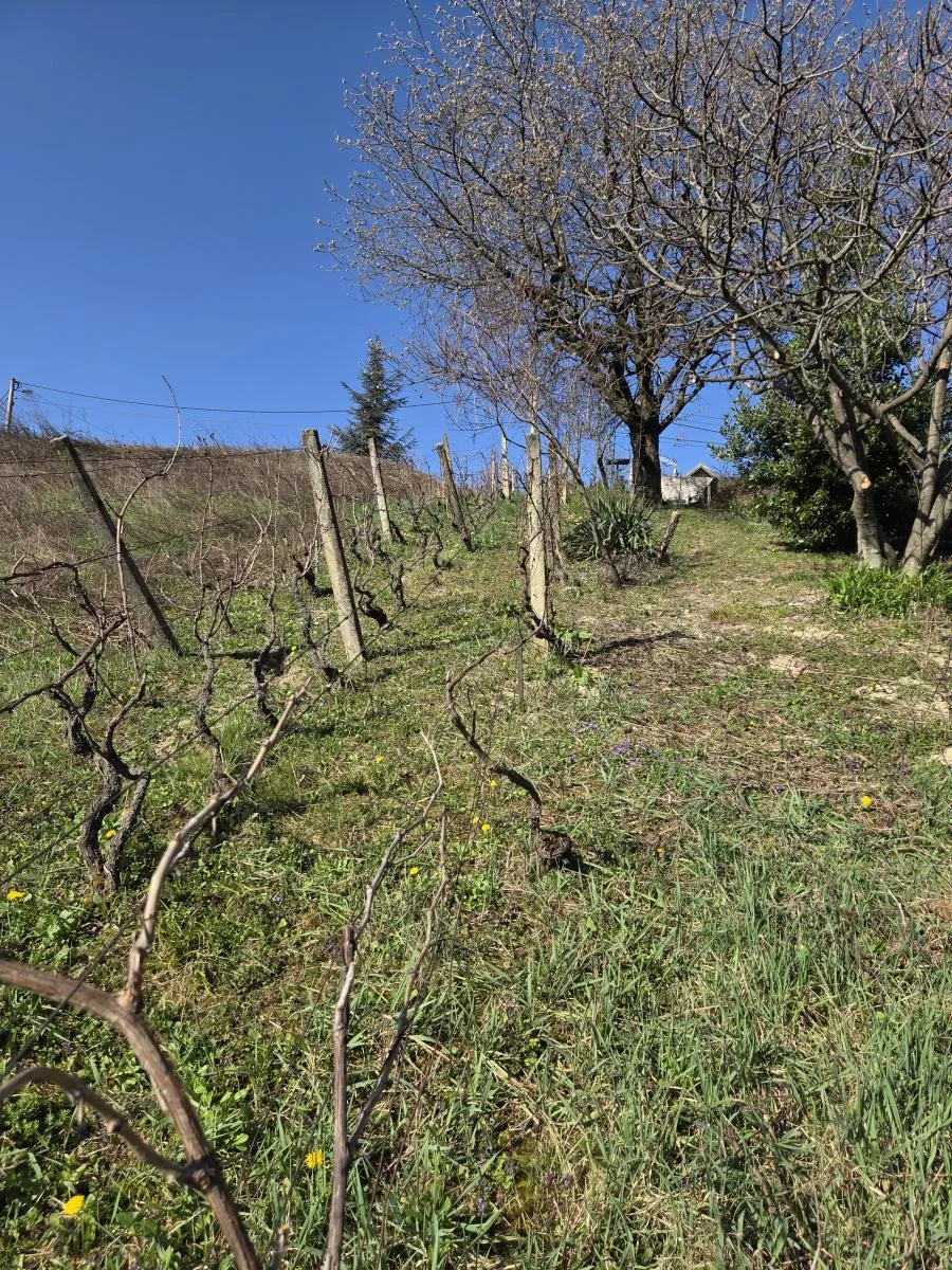 građevinsko zemljište feštinec,paruževina 959 m2 - slika 8