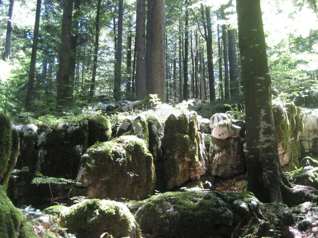 veliko imanje s kućom u srcu gorskog kotara - 33 759 m2 - slika 6