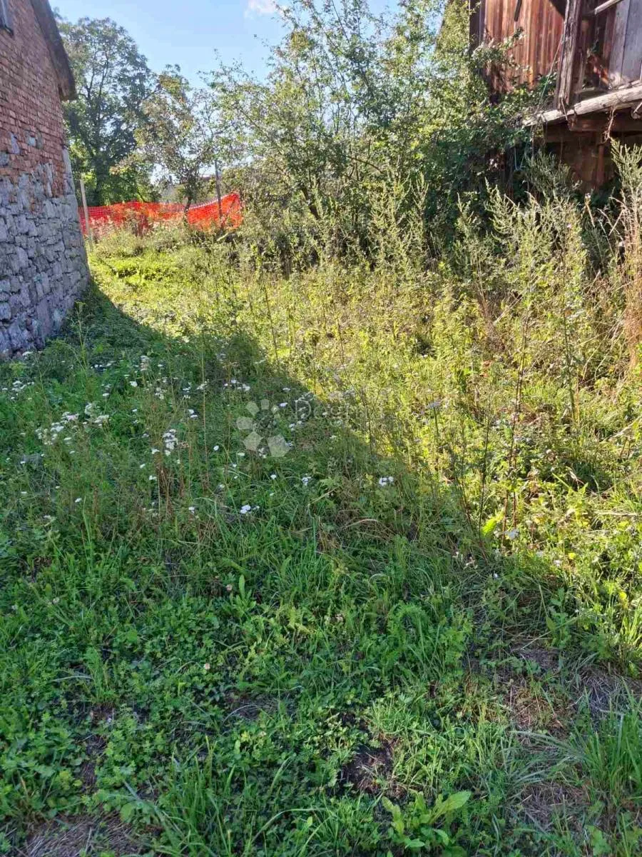 goranski biser s velikim potencijalom - slika 3