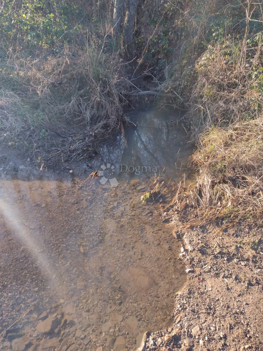 1690m2 građeviskog, 6.7ha poljoprivrednog - slika 4
