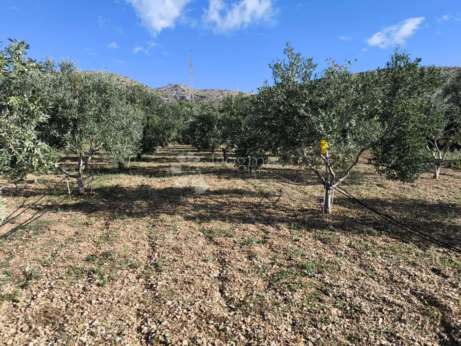 zemljište s otvorenim pogledom na more - trogir - slika 2