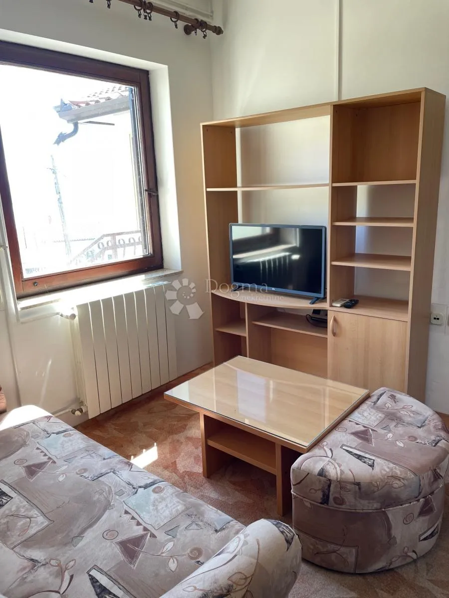 komadić raja koji traži pažnju - slika 23