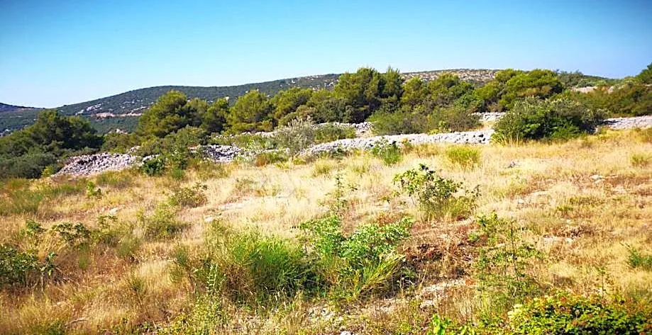 žman - poljoprivredno zemljište, 200m od mora - slika 3