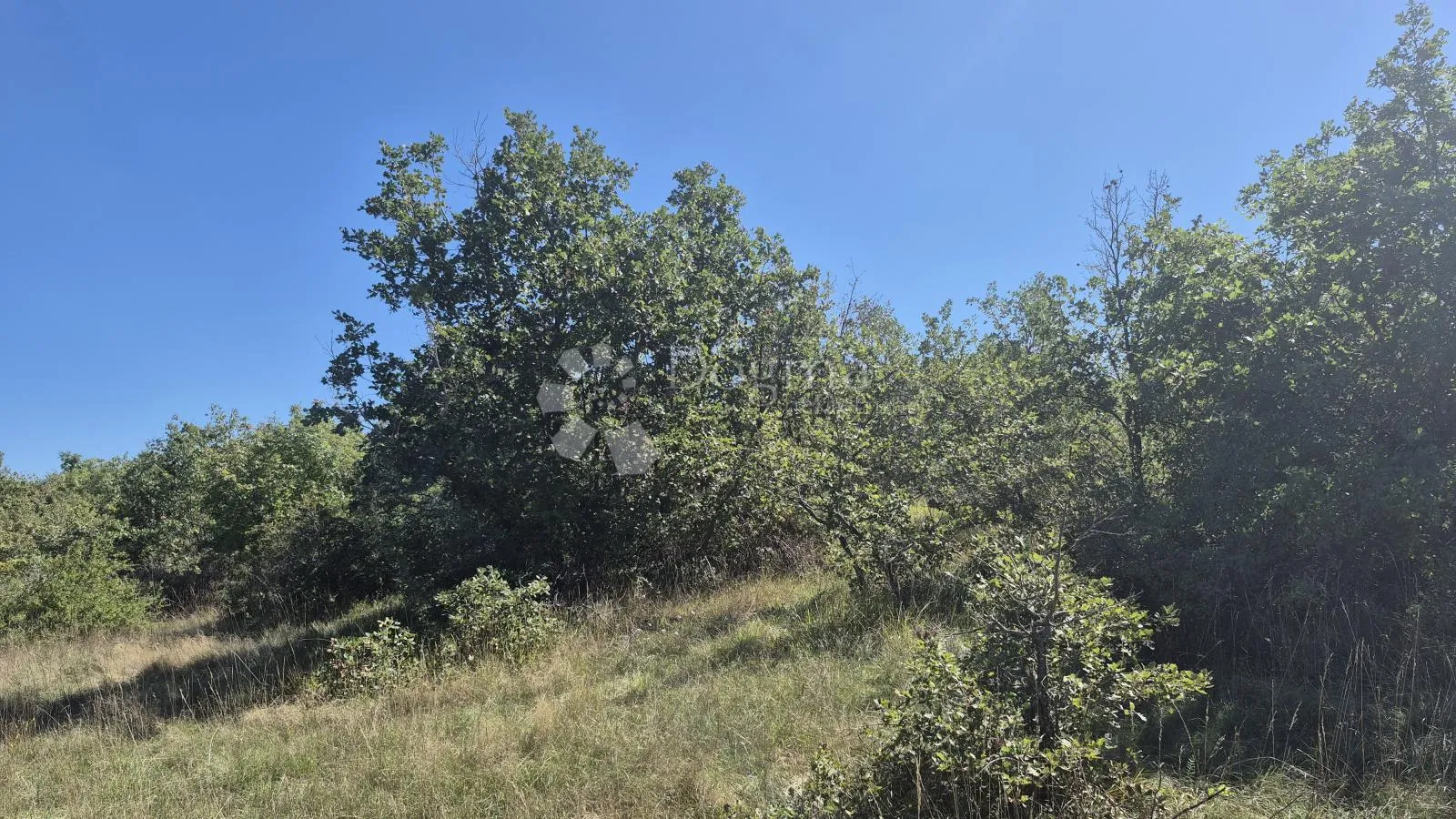 poljoprivredno zemljište nedaleko istarskog ipsilona 2913 m2 - slika 4